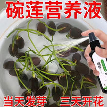 碗莲专用营养液睡莲肥料通用水溶肥水培种子发芽生根促开花防黄叶