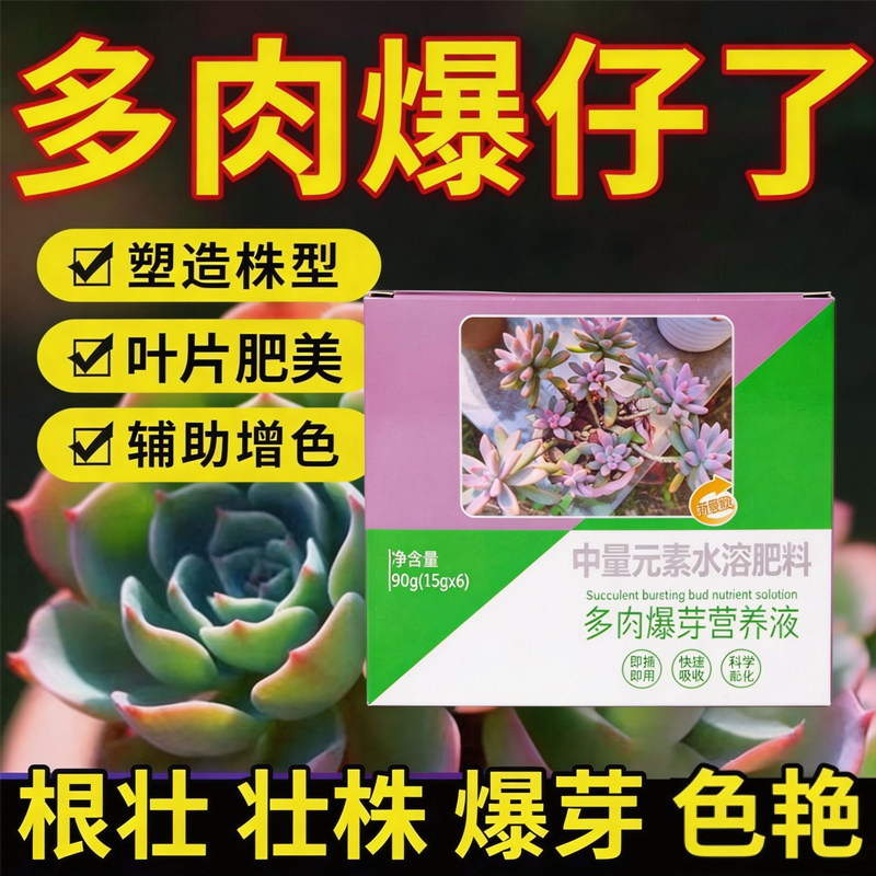 多肉营养液专用肥增色促生根