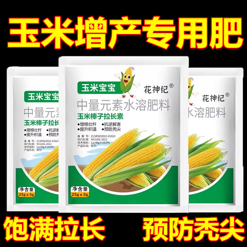 玉米宝宝金大棒一号玉米棒子