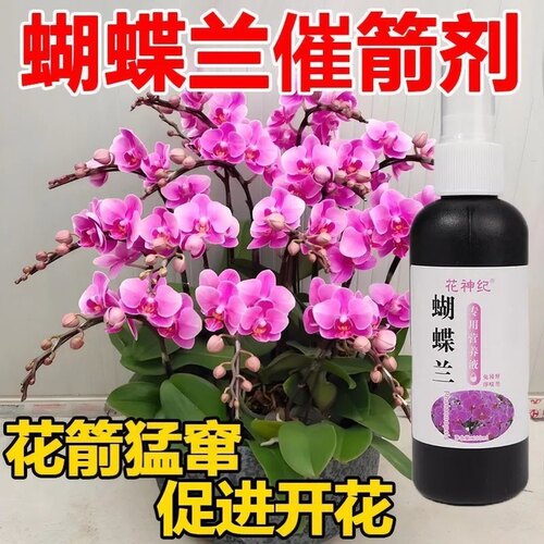 蝴蝶兰营养液爆箭促开花专用肥料