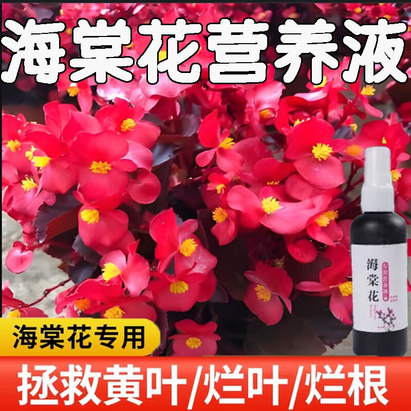 海棠花专用营养液免稀释