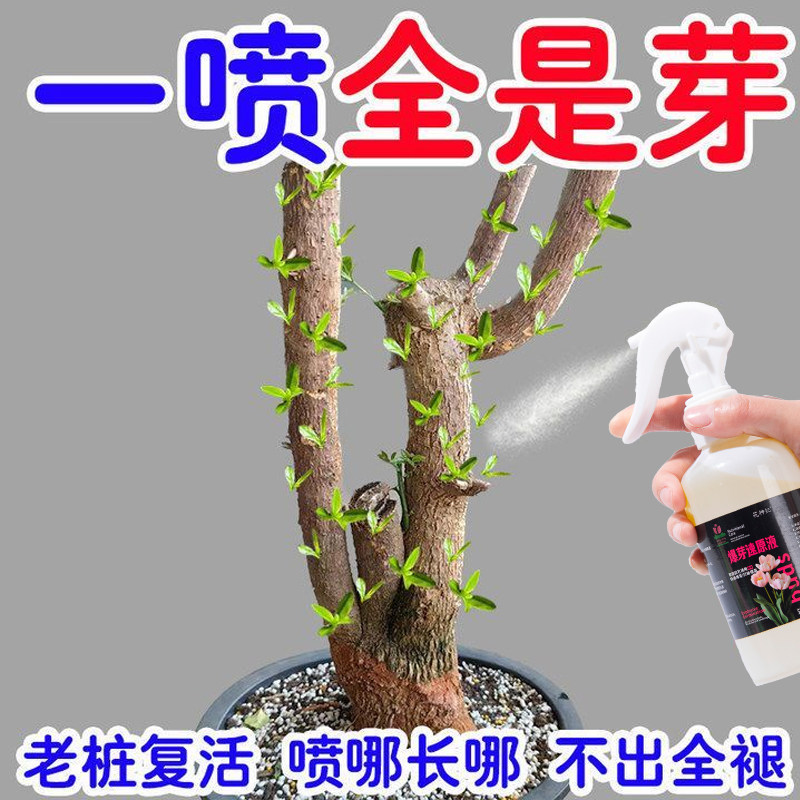 植物爆芽素优芽素通用型营养液多肉三角梅促芽催芽爆芽叶插营养液