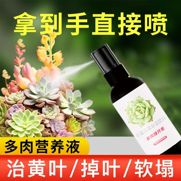多肉爆芽素专用直喷营养液