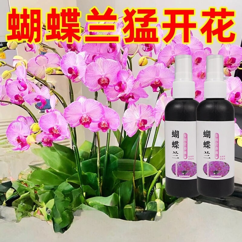 蝴蝶兰营养液浓缩专用肥