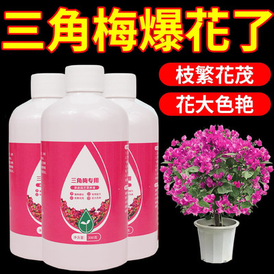 三角梅开花专用肥促开花爆花专用