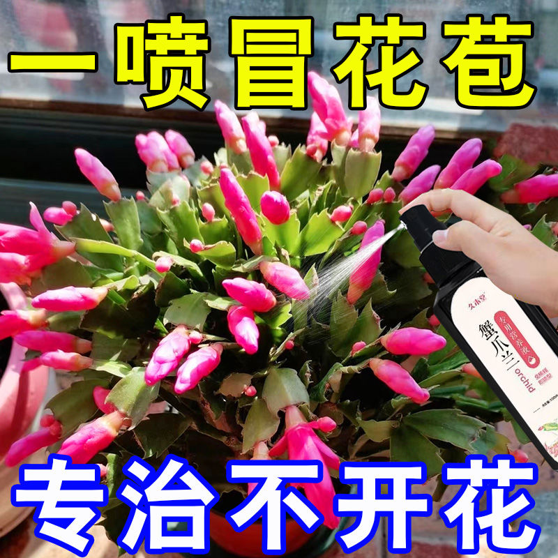 蟹爪兰专用营养液蟹爪莲开花专用肥养蟹爪兰专用肥花肥盆栽肥料,鲜花速递/花卉仿真/绿植园艺,家庭园艺肥料,淘宝优惠券,粉丝福利购,淘宝优惠卷