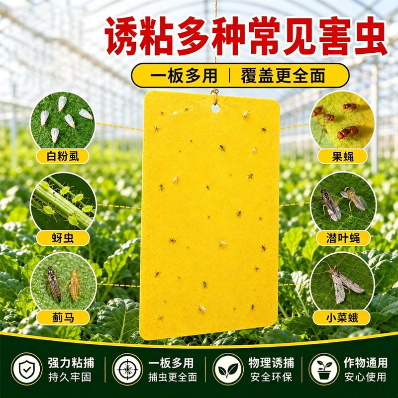 黄板双面强力粘虫板诱捕飞虫