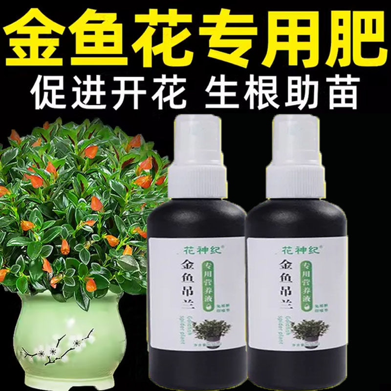 金鱼花烂根黑斑防黄叶