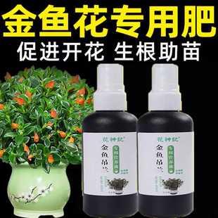 【专治不开花】金鱼吊兰营养液催开花防黄叶黑斑烂根促生根肥料液