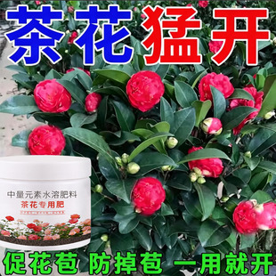 茶花专用肥硫酸亚铁防黄叶掉苞促开花家用花卉专用酸性水溶肥料