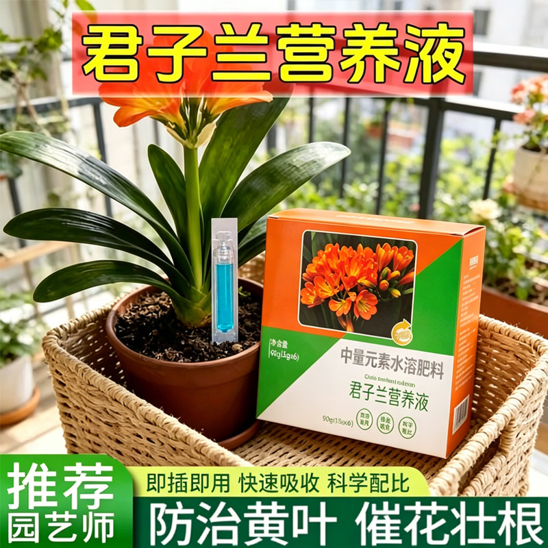 君子兰专用营养液促箭防黄叶