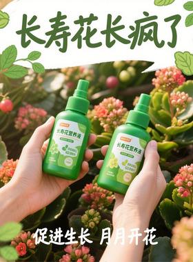 【开花爆盆】长寿花营养液用促开花催花免稀释长寿花专用肥营养液