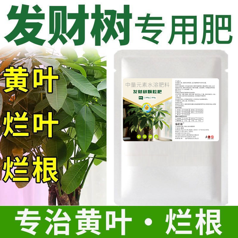 发财树专用肥花室内盆栽