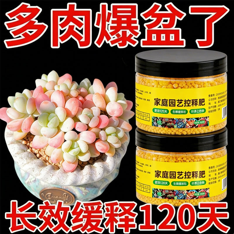 多肉专用有机控释颗粒肥