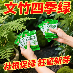 文竹专用肥料植物肥有机复合肥文竹云竹富贵竹棕竹专用花肥营养液