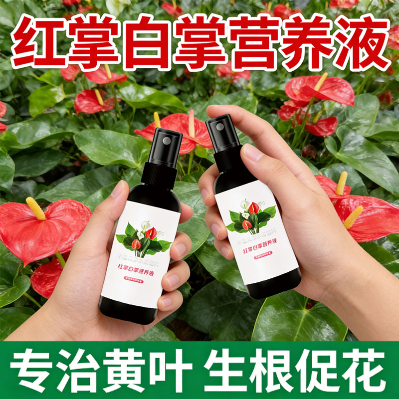 红掌专用营养液防黄叶烂根