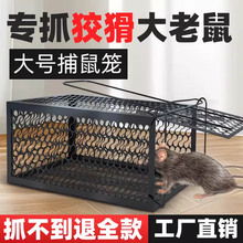捕鼠神器扑捉器家用强力连续高效灭抓夹老鼠笼铁网陷阱耗子