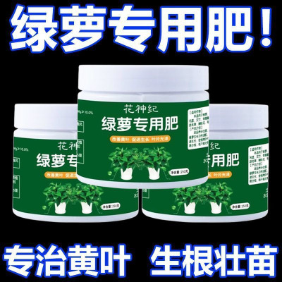 绿萝专用肥家用催绿叶促壮苗肥料