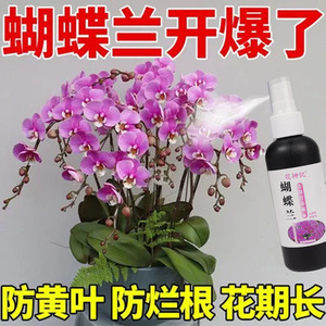 蝴蝶兰营养液专用黄叶枯萎腐烂治烂根不开花促箭催花爆根剂免稀释