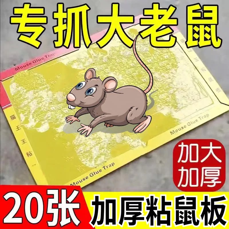 粘鼠板强力胶家用老鼠贴捕鼠超强沾老鼠神器粘大老鼠板厨房用