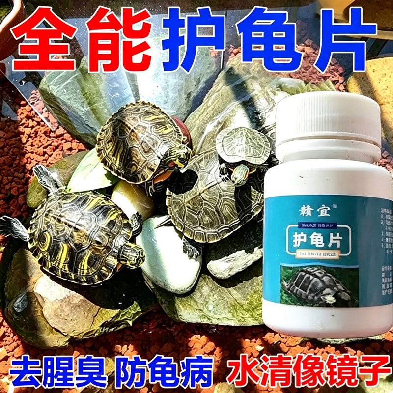 乌龟养护片净水防厌食通用