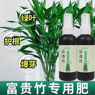 【黄叶救星】富贵竹营养液专治叶子发黄枯瘦烂根家用植物生根花肥