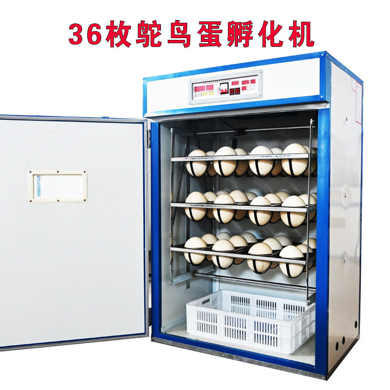 鸵鸟孵化机 全自动智能鸵鸟蛋孵化器 鸸鹋孵化箱家用珍禽卵设备