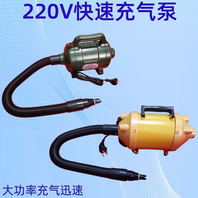 冲锋舟橡皮艇脚踏充气钓渔船车载12v充气漂流船220V快速充气泵
