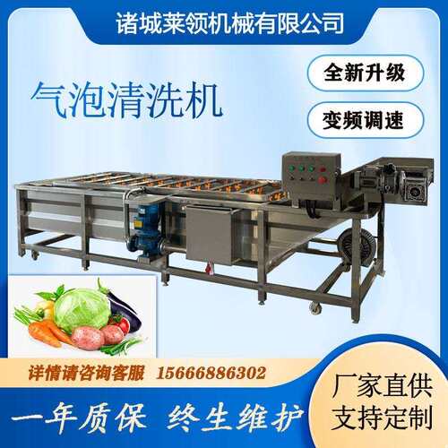 多功能清洗流水线工业蔬菜气泡洗菜机商用豆芽气泡清洗机