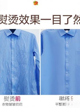 水蒸汽挂烫机家用挂立式服装店汤衣服电L熨烫斗运慰抖器喷烝气