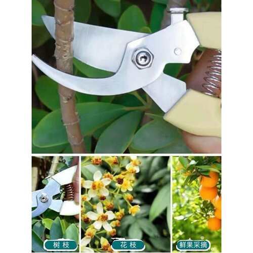 5把 修枝剪 多功能园艺剪刀剪枝器 果园花枝摘果剪园林树枝工具剪