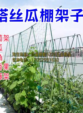 搭丝瓜棚架子豆角爬藤网架种菜苦瓜H吊秧支撑杆藤蔓爬藤架葡萄