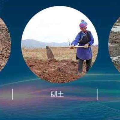 新品树锹铲锹铁锹花铲挖花挖大树农用园林O移起苗器钢头挖树锹品,农机/农具/农膜,铲子,淘宝优惠券,粉丝福利购,淘宝优惠卷