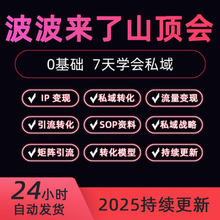 2025新波波来了山顶会案例库流量转化变现课SOP私域获客运营实战