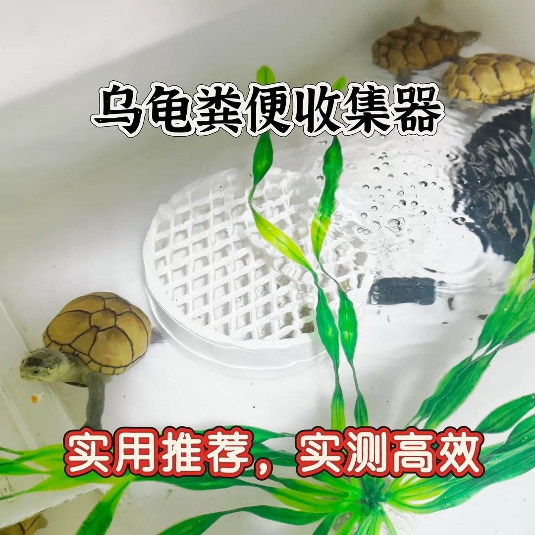 大容量PVC管集污仓低水位乌龟集便器龟缸净水除污粪便收集收纳装