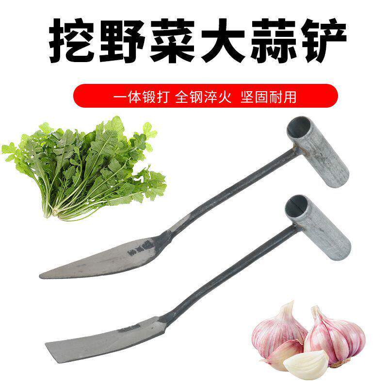 挖野菜的小铲子户外拔草园艺种菜起根除草神器专用铲蒜铲种花工具