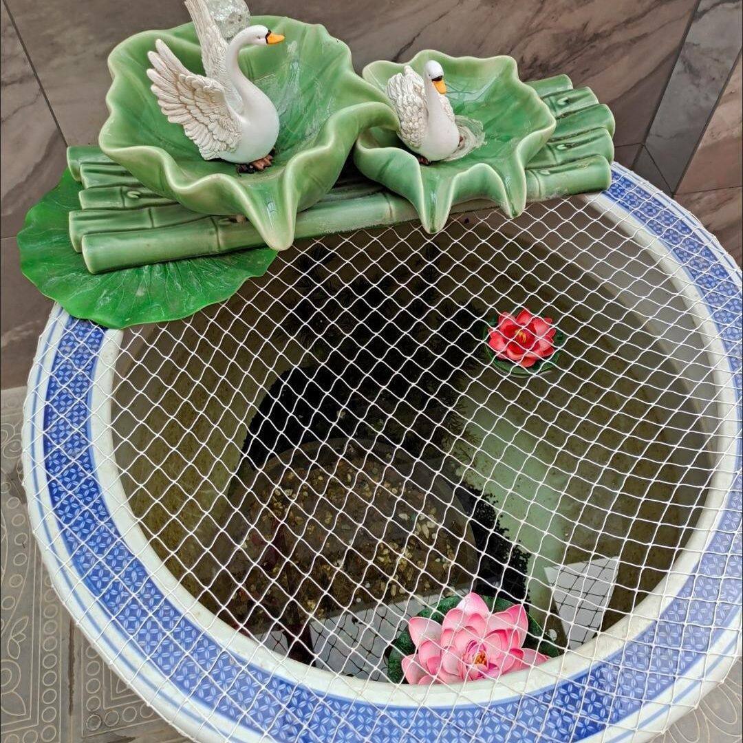 鱼池塑料箱网罩鱼缸圆形防跳网箱防逃网乌龟网防猫防鱼抓网落叶