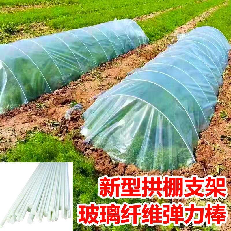 新型小拱棚支架实心玻璃纤维杆棒农家用菜棚支架大棚塑料养殖骨架