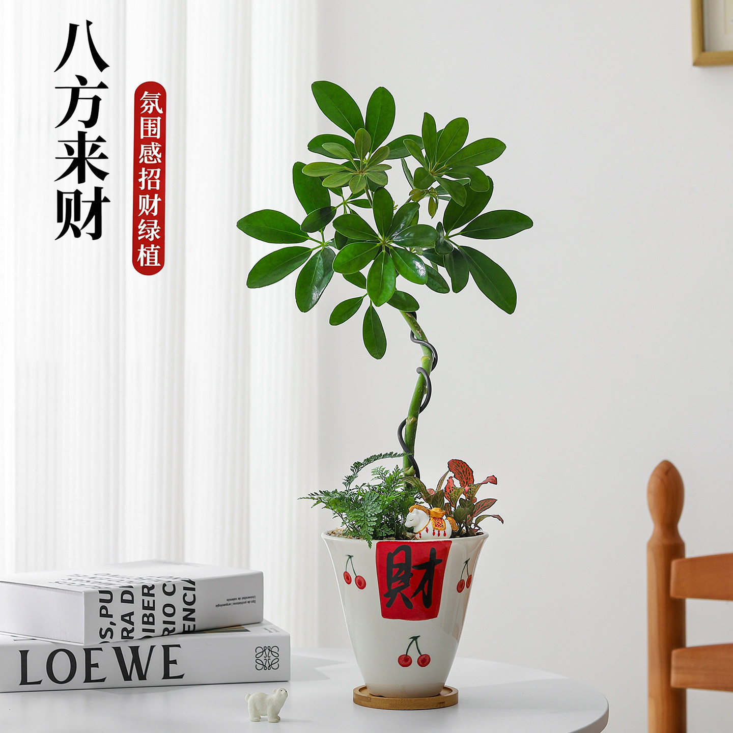 【八方来财】鸭掌木盆栽发财树室内招财绿植办公室送礼好养活花卉,鲜花速递/花卉仿真/绿植园艺,绿植,淘宝优惠券,粉丝福利购,淘宝优惠卷