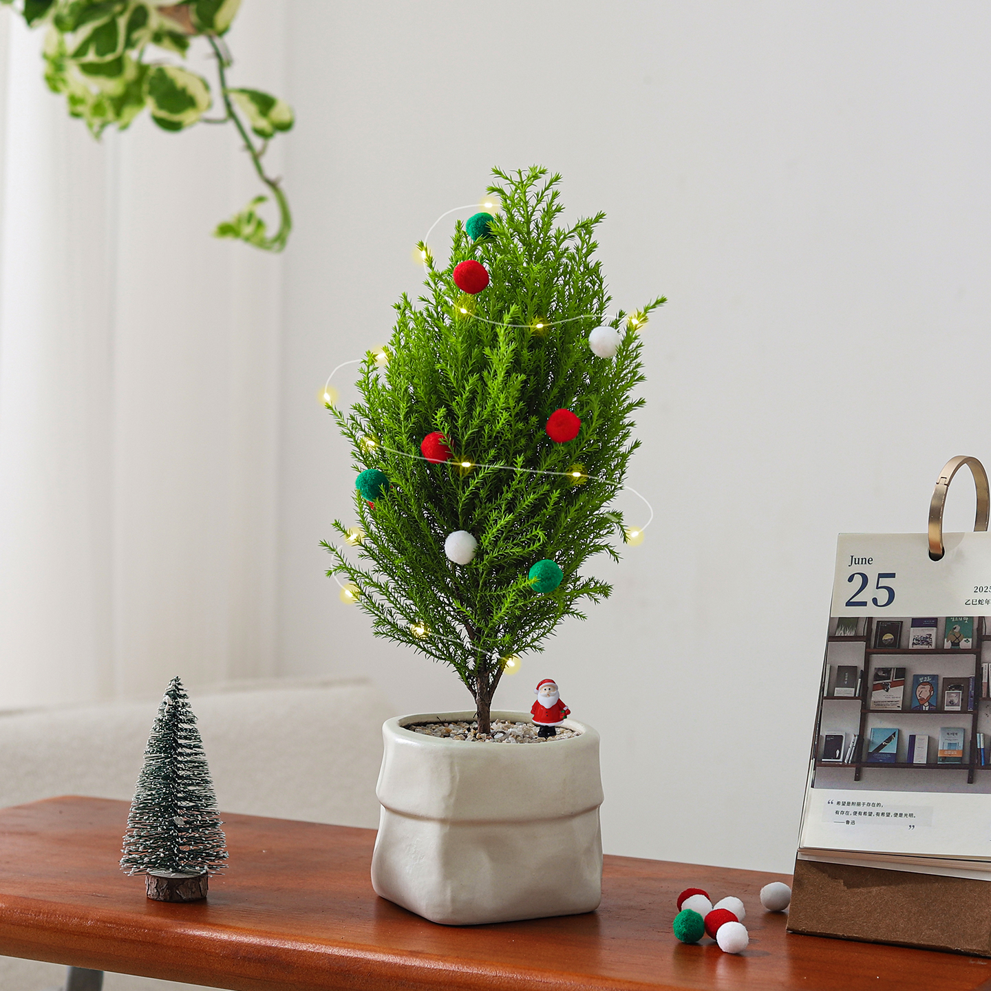 香松盆栽圣诞树绿植摆件
