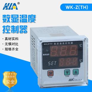 温度控制器WK-Z(TH)升温降温自动监控调节器控制仪