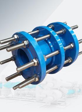 GB/T12465-2017双法兰传力接头全穿丝可拆卸伸缩器C2F不锈钢DN80