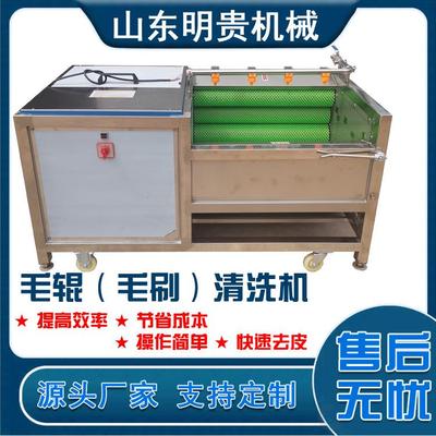 毛棍去皮清洗机土豆荸荠马蹄去皮清洗设备根茎毛棍清洗去皮机