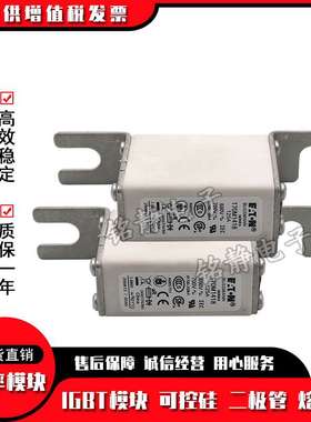 170M1418 170M1419 170M1420 170M1421巴斯曼170M1422熔断器现货