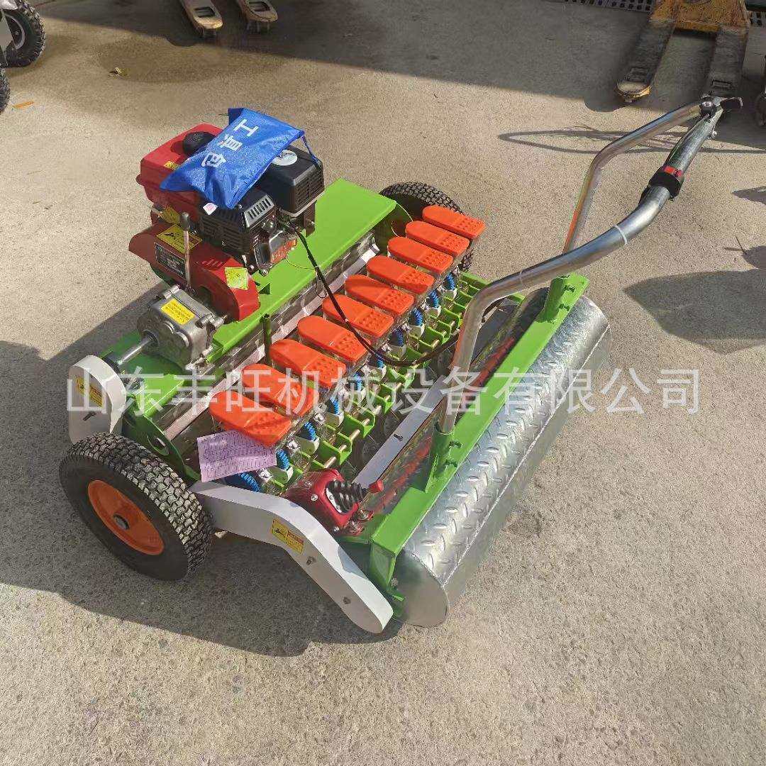 汽油十行大葱播种机香菜油菜精播机手推式谷物可调式精播机