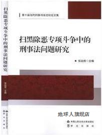 扫黑除恶专项斗争中的刑事法问题研究第十届当代刑事司法论坛论