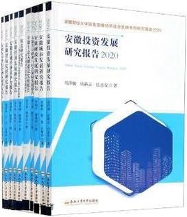 全10册 2020 安徽财经大学服务安徽经济社会发展系列研究报告