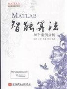 MATLAB智能算法30个案例分析,史峰，王辉编著,北京航空航天大学出