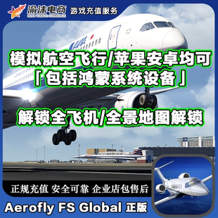模拟航空飞行2024Aerofly Global全DLC手机平板资源全解锁