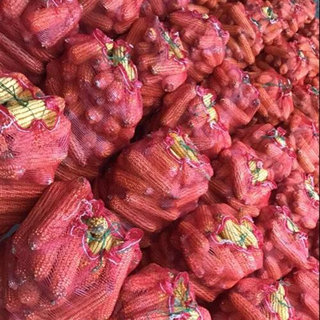 装玉米的编织袋大网袋子柚子水果蔬菜网眼袋透气网兜网状大号网袋